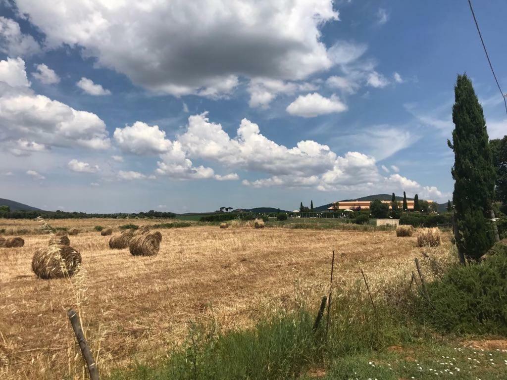 Agriturismo Colle D' Oro Pescia Romana Ngoại thất bức ảnh